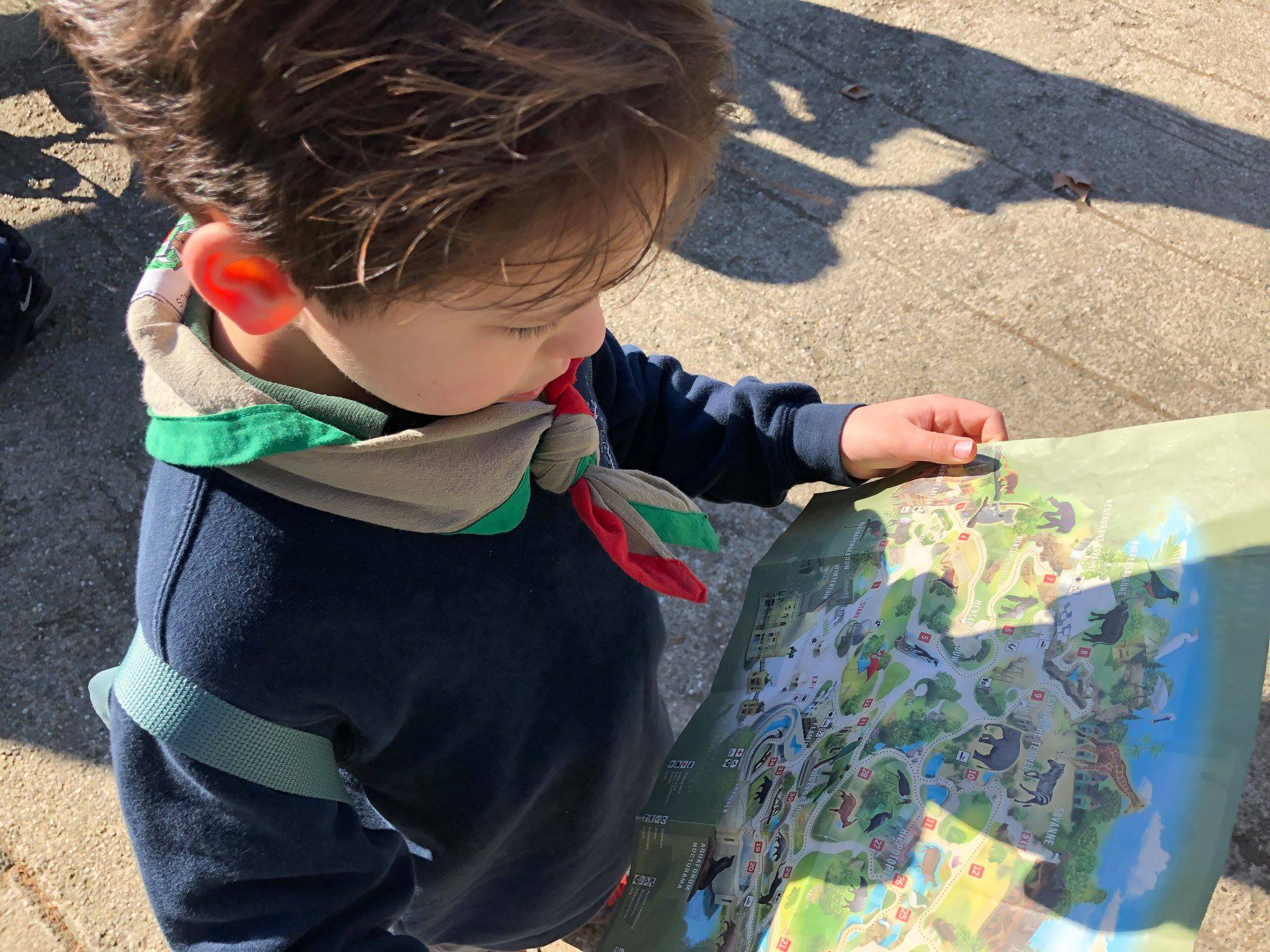 Sint-Martinus den XIIde - Zoo Antwerpen Kapoenen